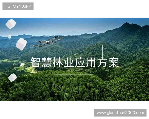 亚星管理网平台正网：详细介绍平台注册流程与实名认证步骤