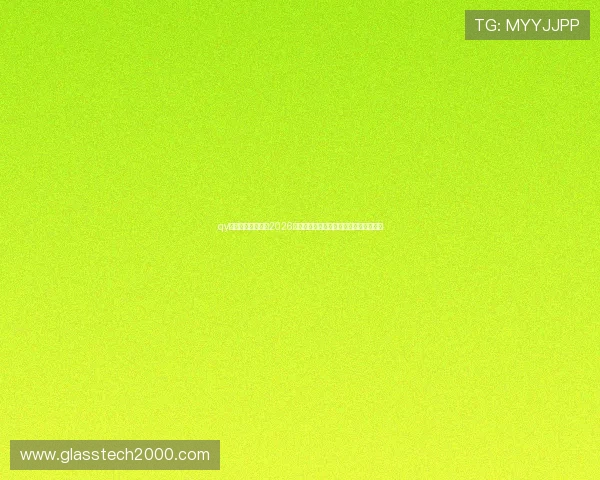 qy会体育：深度分析2026世界杯热门球队战术策略与明星球员表现